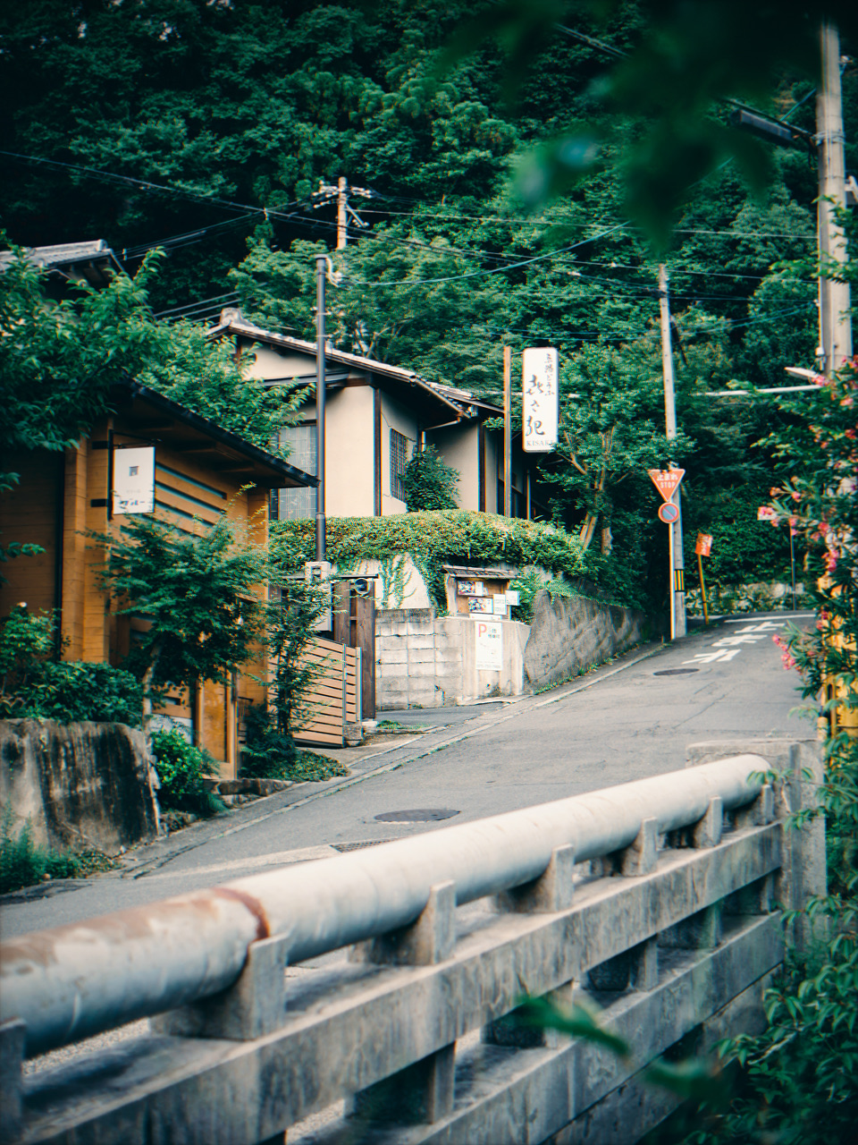 Fresh 400: a leafy street corner and bridge railing
